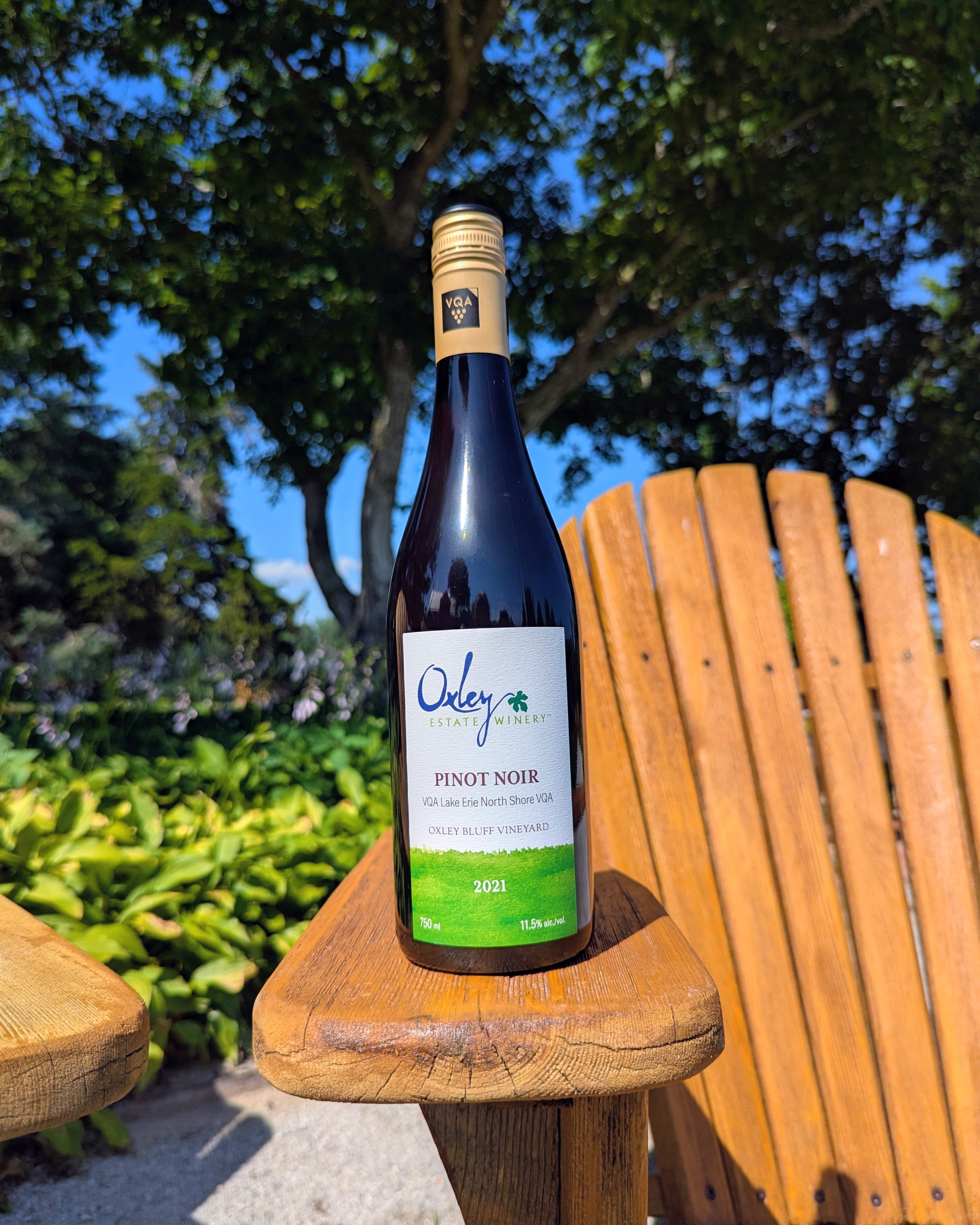 2021 | Pinot Noir