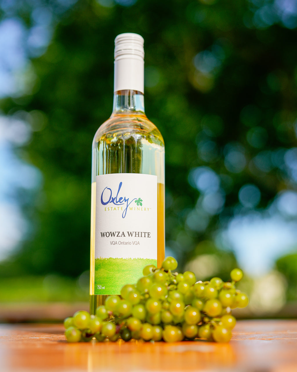 Make A Case / Half Case