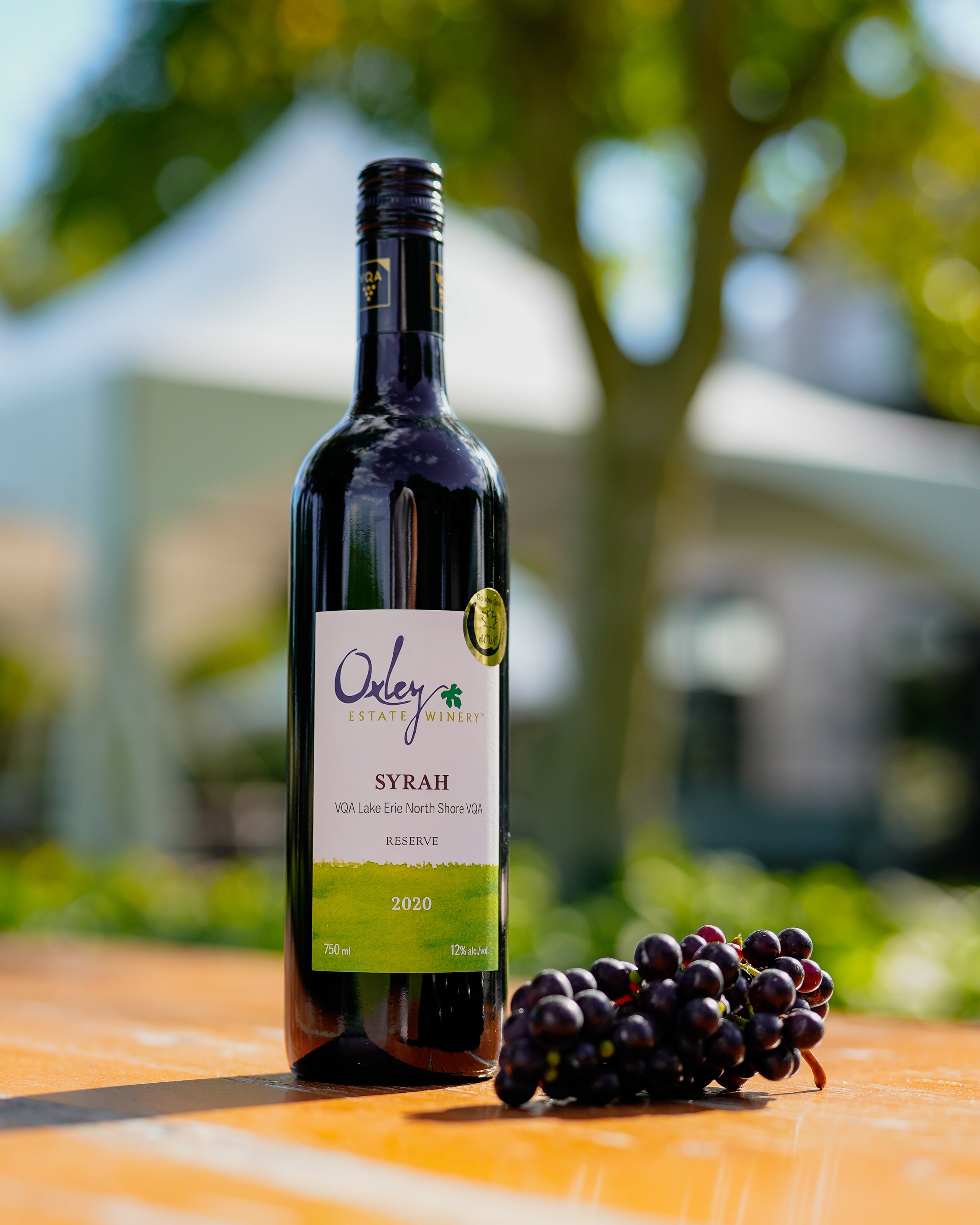 2020 | Syrah [RESERVE]