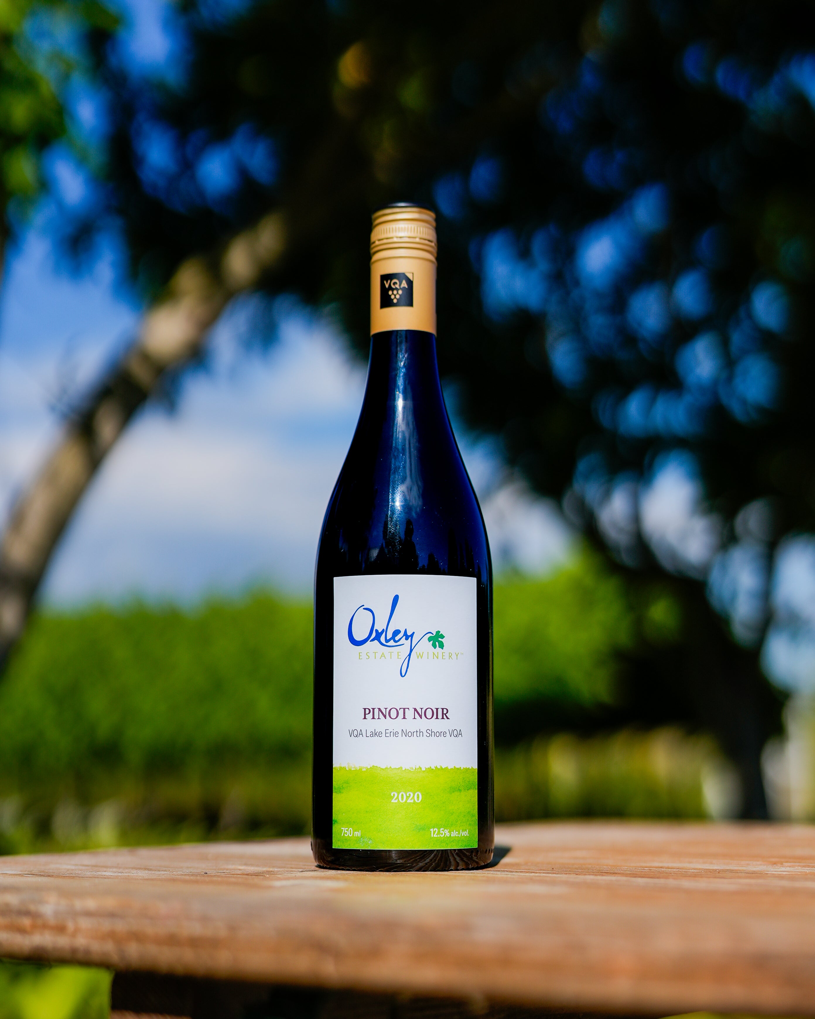 2020 | Pinot Noir