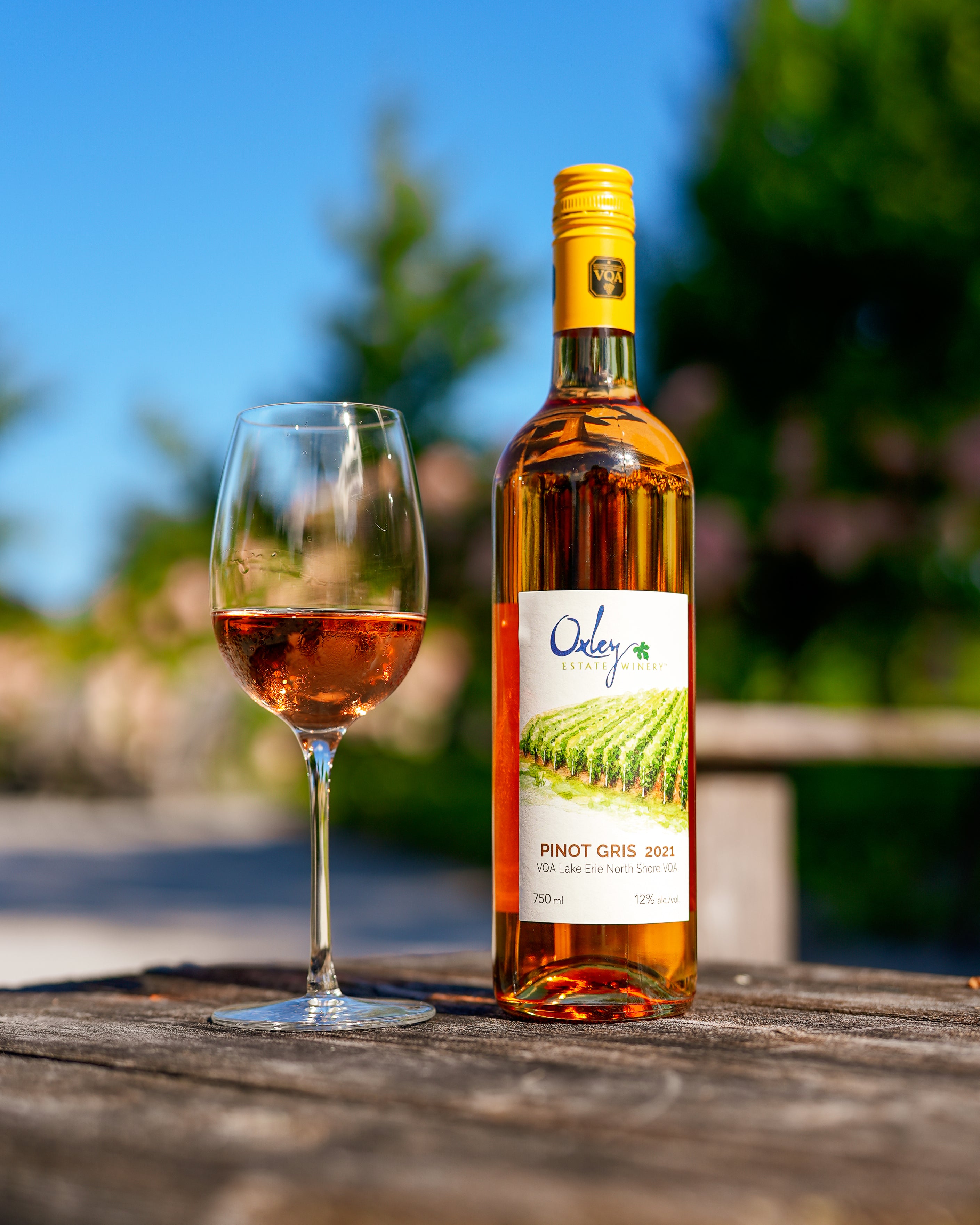 2021 | Pinot Gris