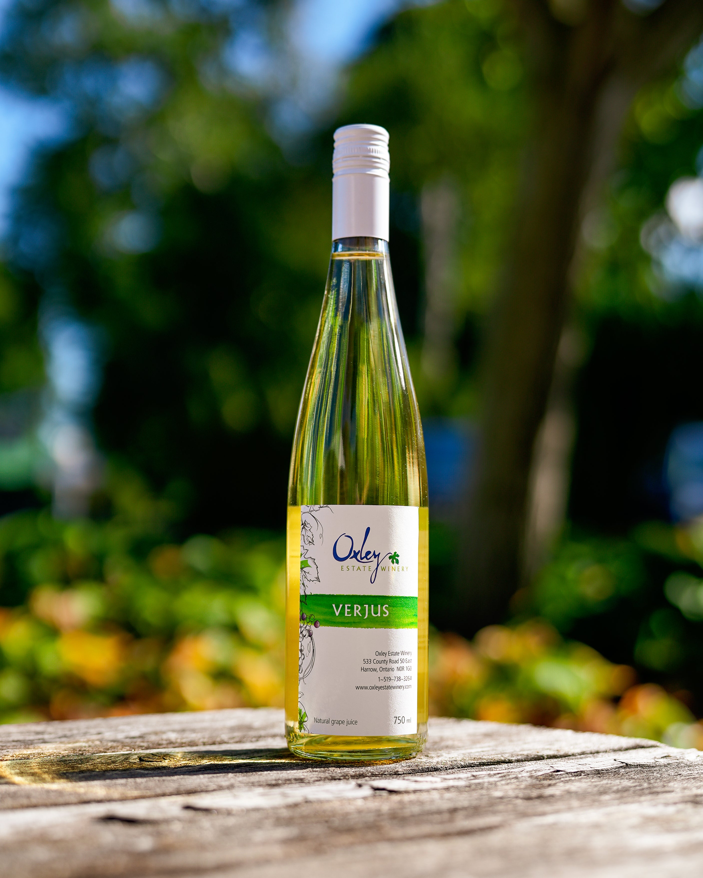 Verjus