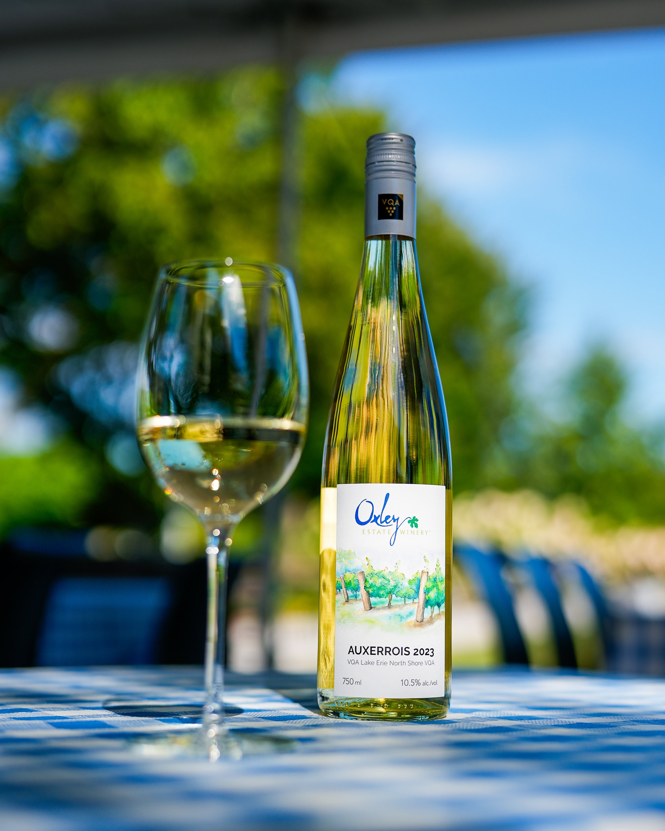 2023 | Auxerrois