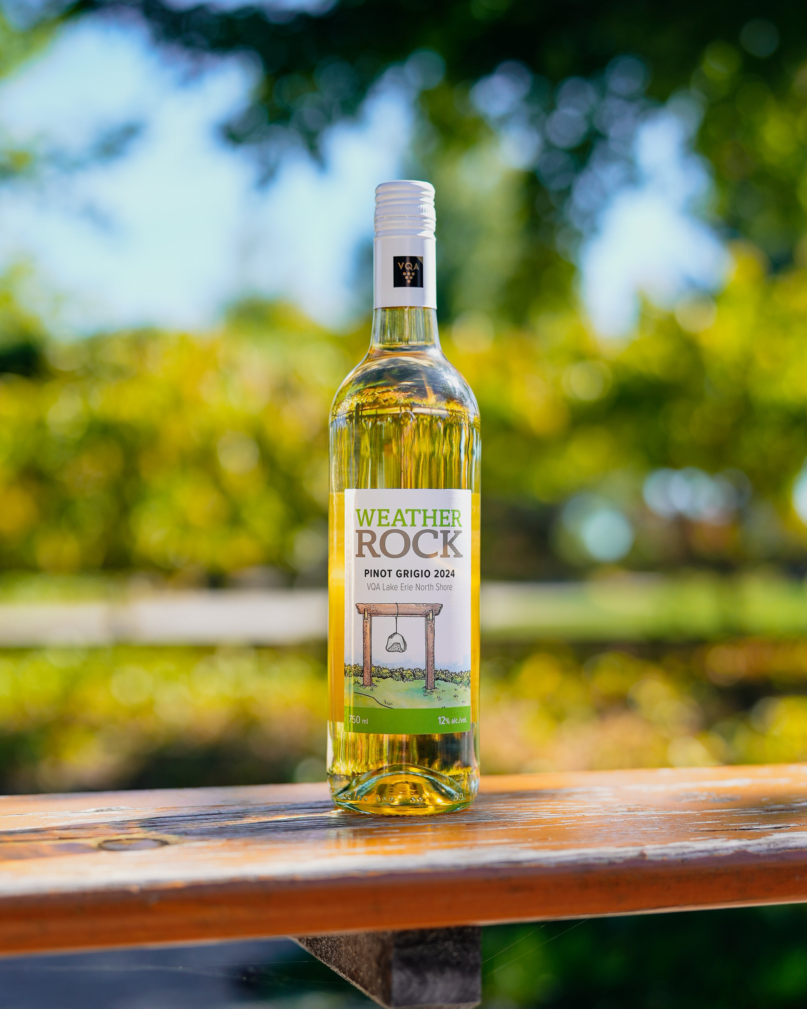 2024 | Weather Rock Pinot Grigio