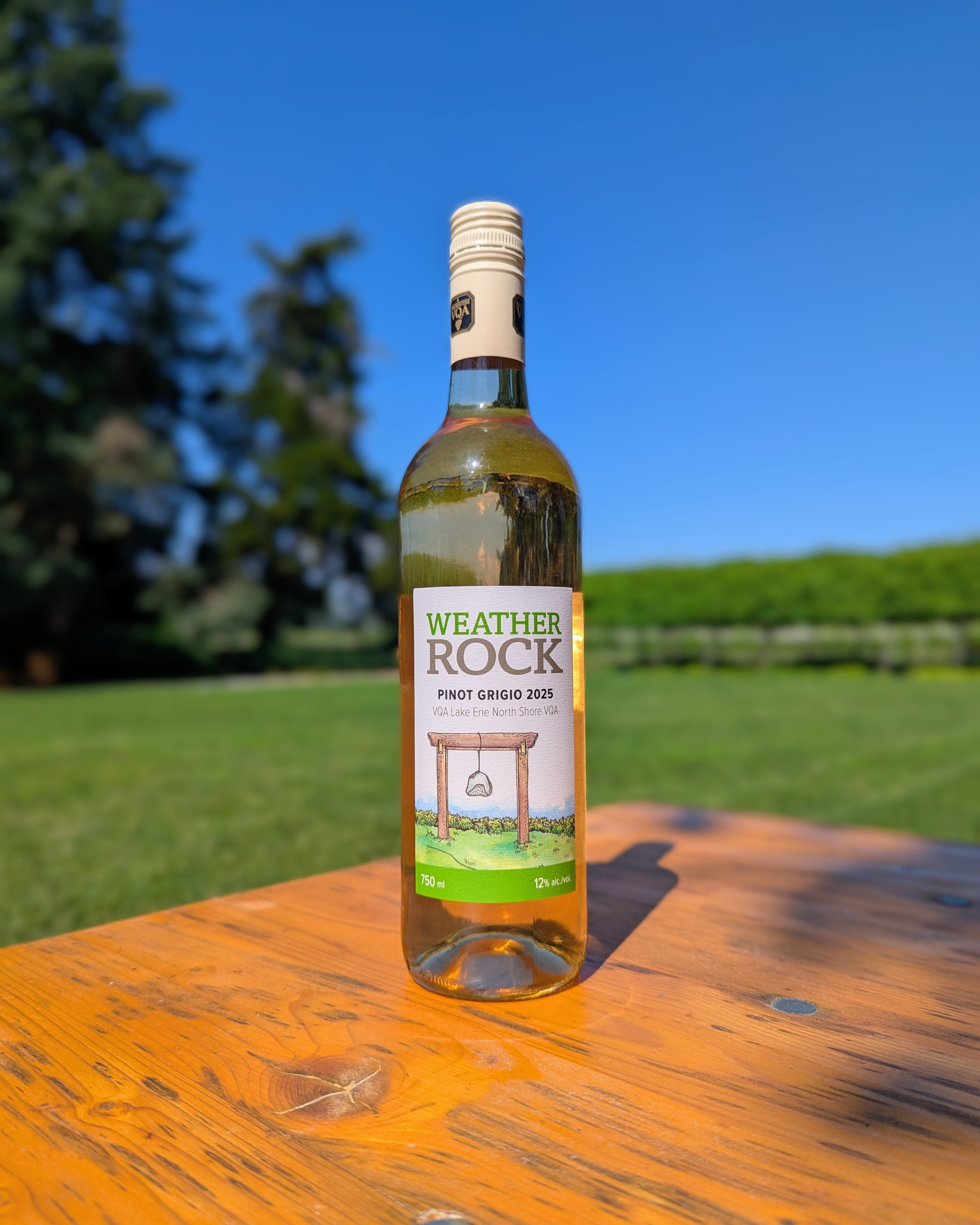 2025 | Weather Rock Pinot Grigio